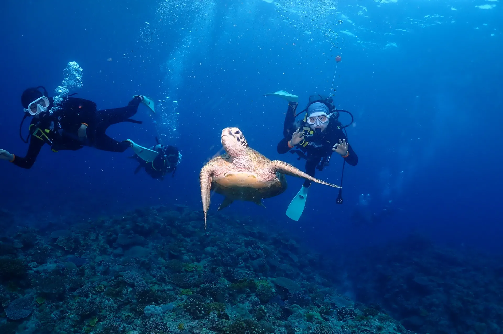 那覇発慶良間ファンダイビング|沖縄　那覇　DIVE STAR